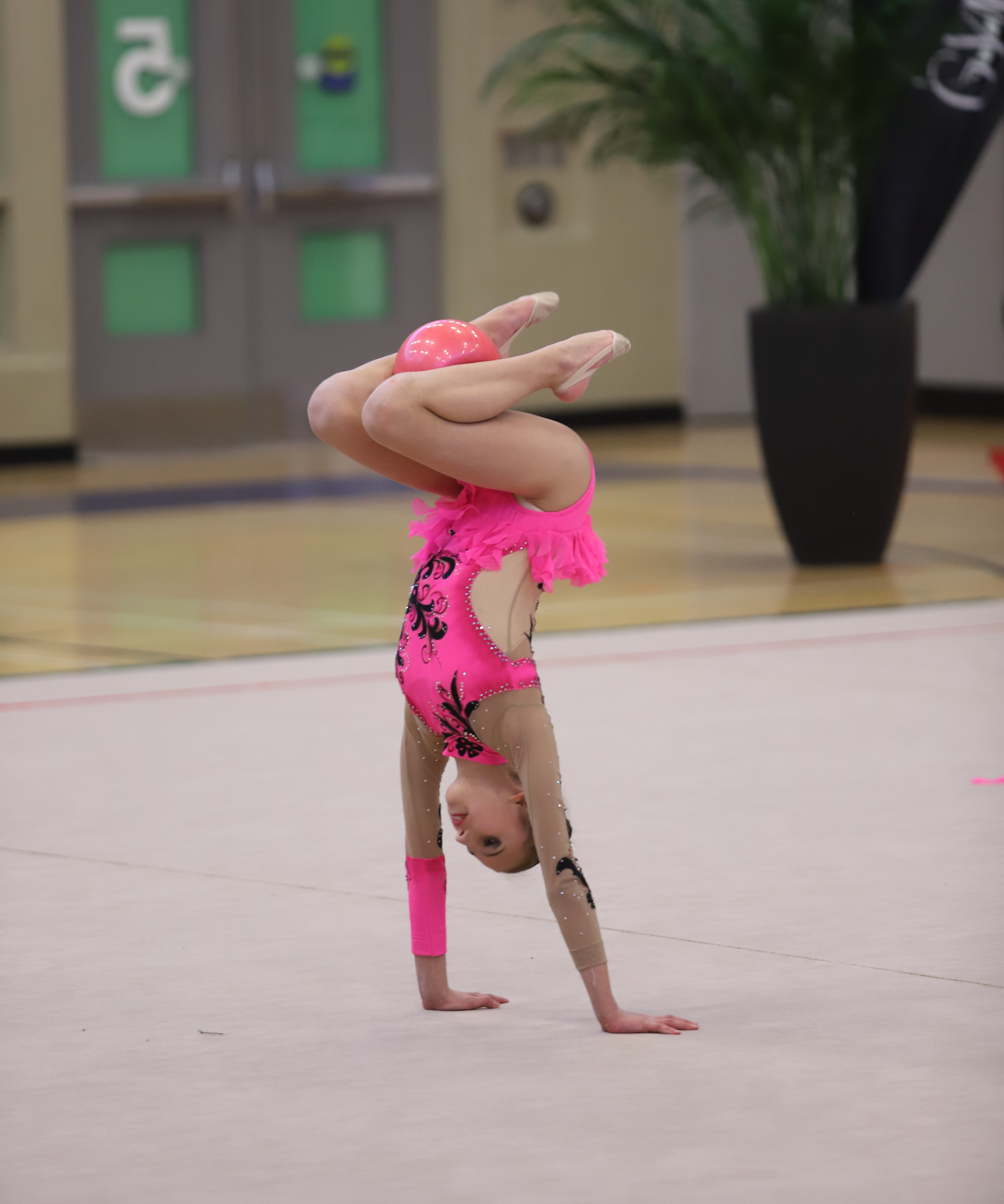 Welcome to Olympium Rhythmic Gymnastics Club, Toronto, Canada! » Spring ...